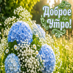 Самый прекрасный букетик для тебя