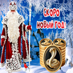 Скоро Новый год змеи. Радости и смеха всегда рядом
