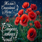 Сладких летних снов