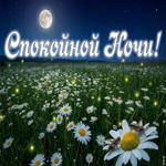 Сладких снов и тёплой, тихой ночи
