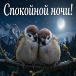 Сладких снов и хорошего отдыха