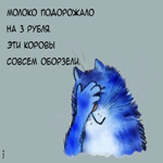 Смешная картинка. Счастья и добрых мгновений