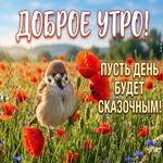 Солнечного настроения и лёгкости!