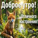 Солнечного настроения и счастья!