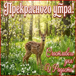 Солнечного света и улыбок!