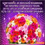 Спасибо за внимание, тепло и за то, что вы есть