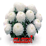 Спасибо за всё! Корзина белых цветов тебе