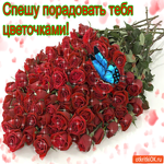 Спешу порадовать тебя этими цветочками