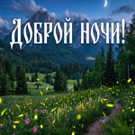 Спи спокойно, укрываясь летней тишиной