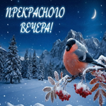 Спокойного зимнего вечера!