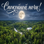 Спокойной ночи и нежных снов