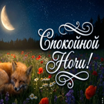 Спокойной ночи, пусть летний ветер убаюкает