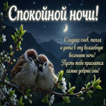 Спокойной ночи! Пусть сон будет лёгким и приятным