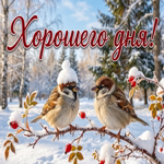 Спокойствия, лёгкости и красивого настроения на весь день.