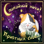 Спокойной ночи приятных снов. Гармонии в жизни