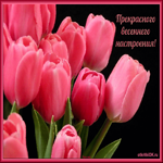 Стих наступила весна