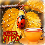 Светлая и вдохновляющая осенняя гифка Доброе утро
