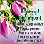 Светлая картинка доброе утро с тюльпанами. Добра всегда