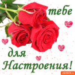 Тебе розы для настроения