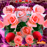Тебе солнышко моё