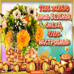 Тебе желаю лишь везения