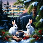 Теплой зимы, друзья! Пусть мороз лишь бодрит