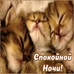 Трогательная картинка спокойной ночи. Света и вдохновения