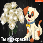 Ты прекрасна, эта открытка тебе от меня