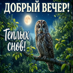 Тёплого вечера и приятных моментов
