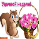 Удачной недели, милая белка принесла цветы