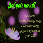 Удивительная картинка Доброй ночи!
