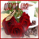 Улыбнись новому дню! Открытка Доброго дня