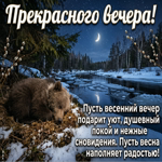 Уютного вечера и светлого настроения до самого сна!