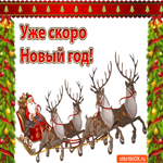 Уже скоро Новый год. Счастливых моментов
