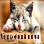 Вдохновляющая открытка с анимауией Спокойной ночи!