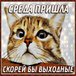 Веселая открытка со средой