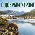 Волшебного мартовского утра