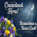 Волшебных и тихих снов!