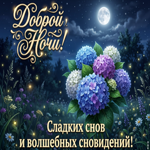 Волшебных сновидений!