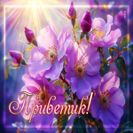 Восхитительная гиф-открытка Приветик