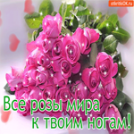 Приятная открытка Все розы мира к твоим ногам