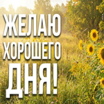 Хорошего настроения и лёгкости во всех делах.
