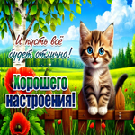 Хорошего настроения! И пусть все будет отлично