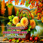 Хорошего настроения и ярких эмоций