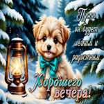 Хорошего вечера, пусть он будет легким и радостным