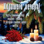 Хорошего вечера! Пусть зимний вечер подарит тишину