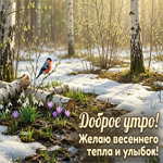 Хорошего весеннего утра! Пусть всё сегодня складывается легко и удачно.