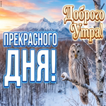 Хорошего зимнего утра! Пусть всё сегодня складывается легко и удачно.