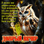 Я желаю вам доброго вечера! Чтоб исполнилось все, что намечено