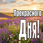 Яркого летнего дня тебе